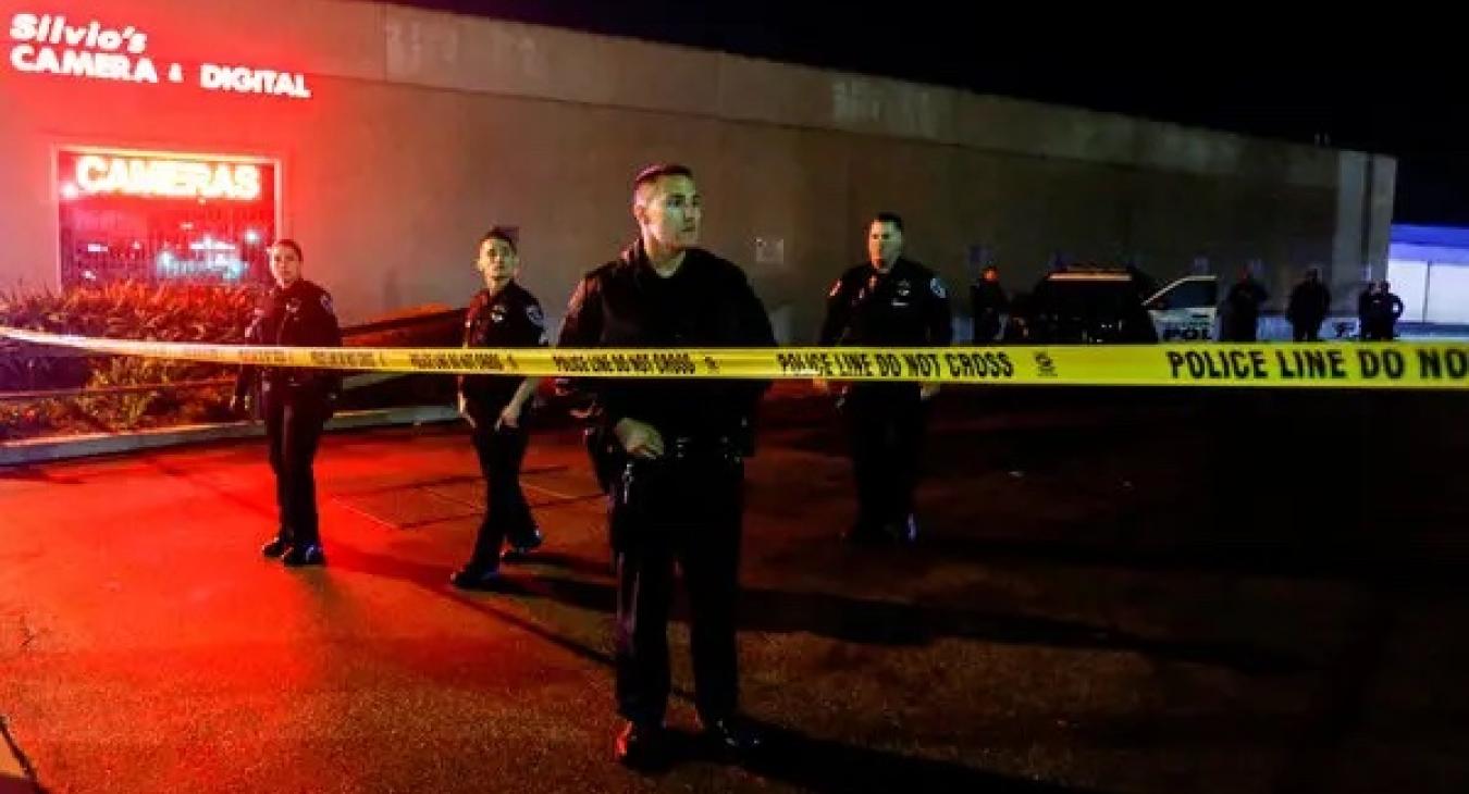 Successfully Surfing the Crime Wave